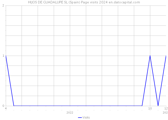 HIJOS DE GUADALUPE SL (Spain) Page visits 2024 