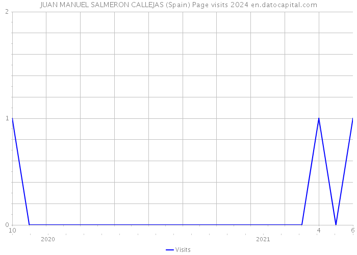 JUAN MANUEL SALMERON CALLEJAS (Spain) Page visits 2024 