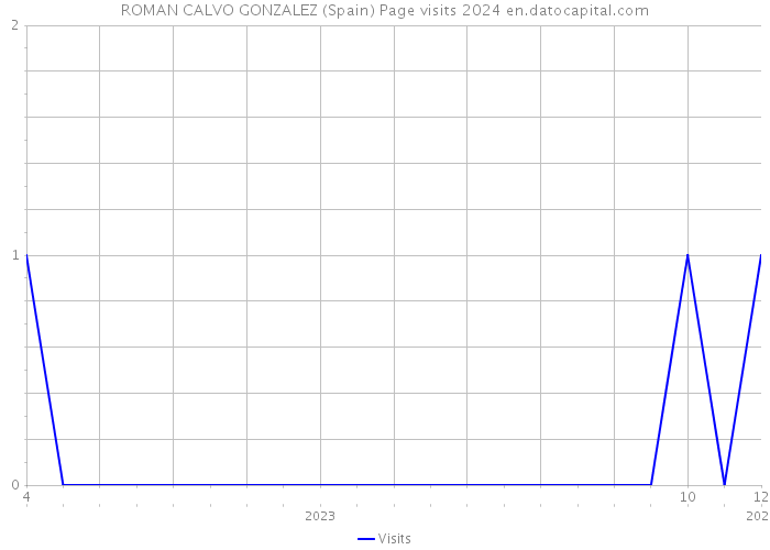 ROMAN CALVO GONZALEZ (Spain) Page visits 2024 