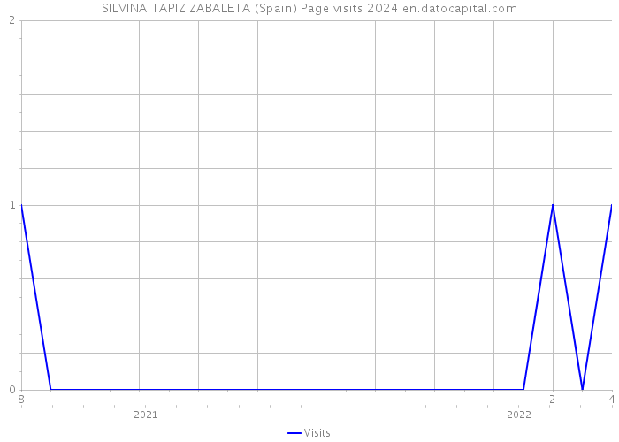 SILVINA TAPIZ ZABALETA (Spain) Page visits 2024 