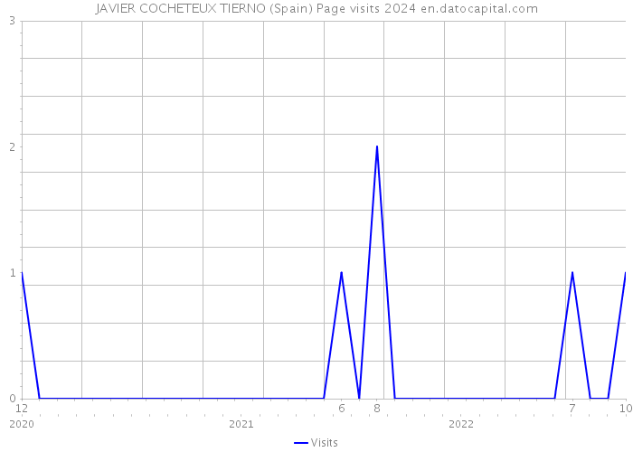 JAVIER COCHETEUX TIERNO (Spain) Page visits 2024 