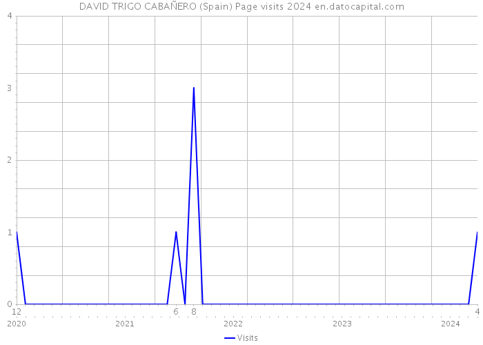 DAVID TRIGO CABAÑERO (Spain) Page visits 2024 