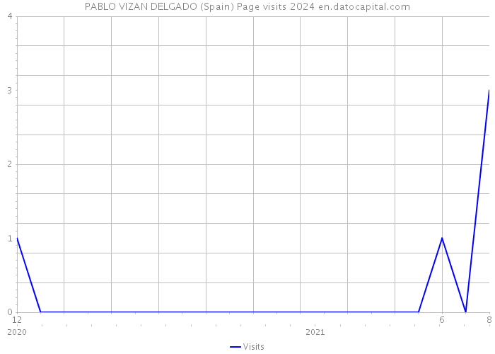 PABLO VIZAN DELGADO (Spain) Page visits 2024 