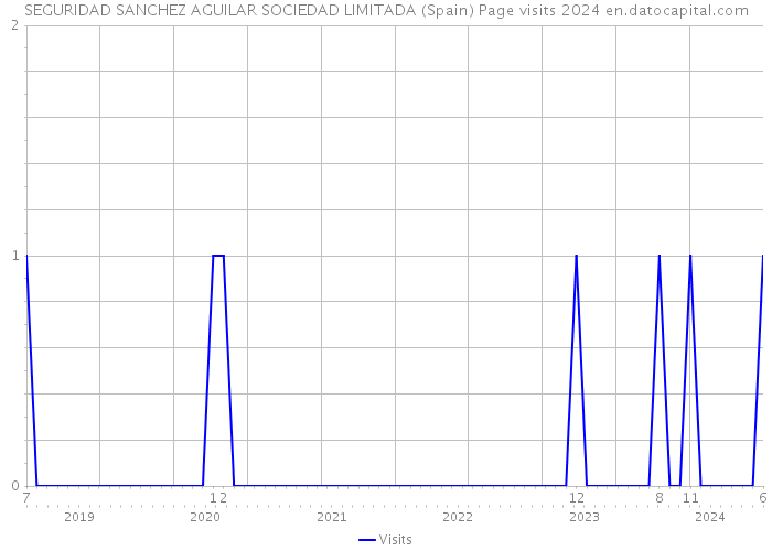 SEGURIDAD SANCHEZ AGUILAR SOCIEDAD LIMITADA (Spain) Page visits 2024 