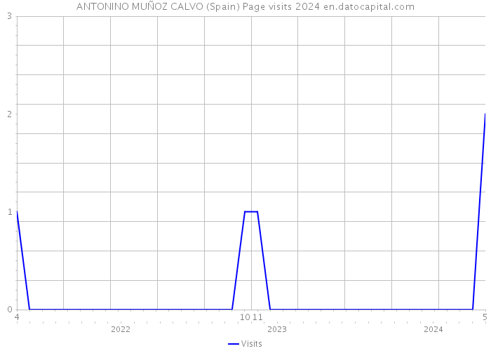 ANTONINO MUÑOZ CALVO (Spain) Page visits 2024 
