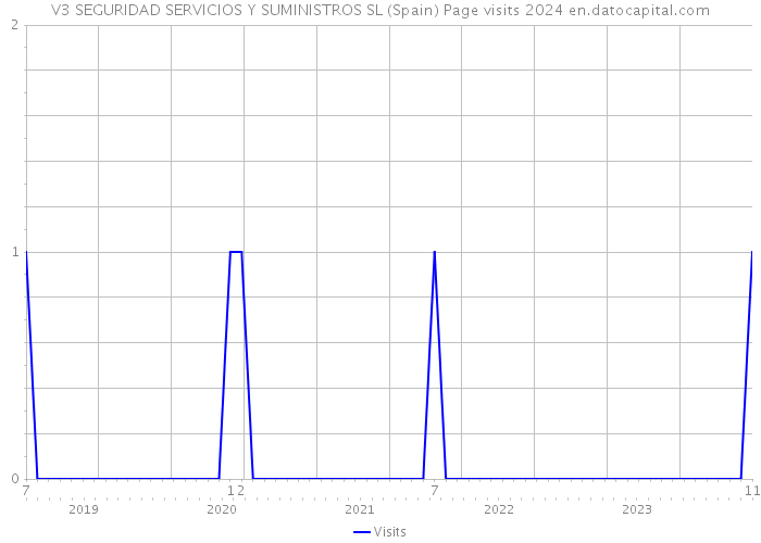 V3 SEGURIDAD SERVICIOS Y SUMINISTROS SL (Spain) Page visits 2024 