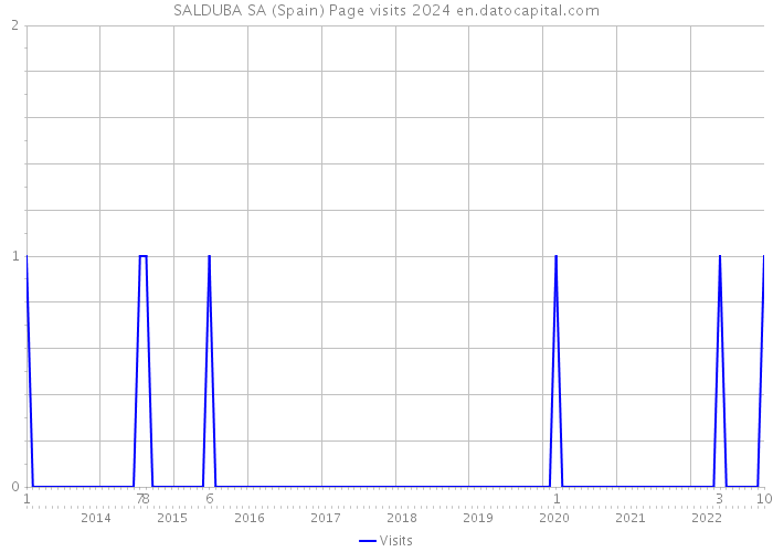 SALDUBA SA (Spain) Page visits 2024 