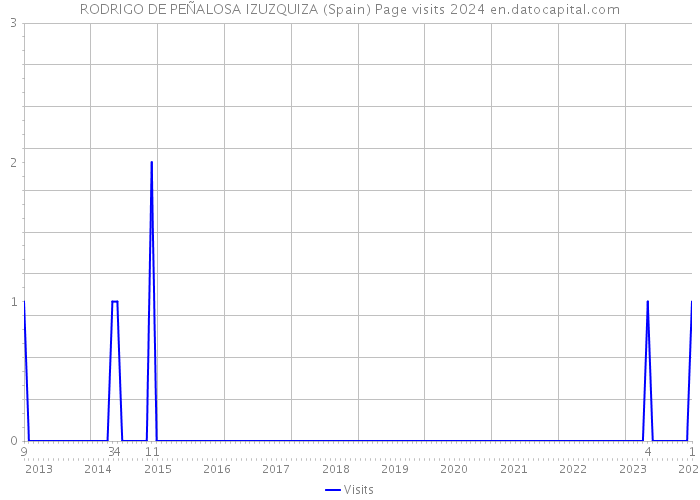 RODRIGO DE PEÑALOSA IZUZQUIZA (Spain) Page visits 2024 