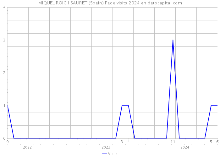 MIQUEL ROIG I SAURET (Spain) Page visits 2024 