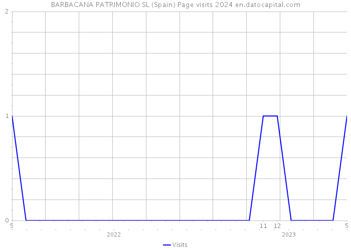 BARBACANA PATRIMONIO SL (Spain) Page visits 2024 
