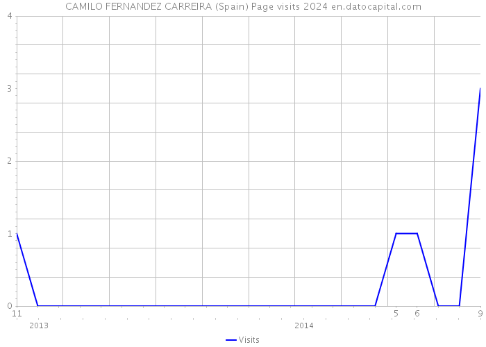 CAMILO FERNANDEZ CARREIRA (Spain) Page visits 2024 
