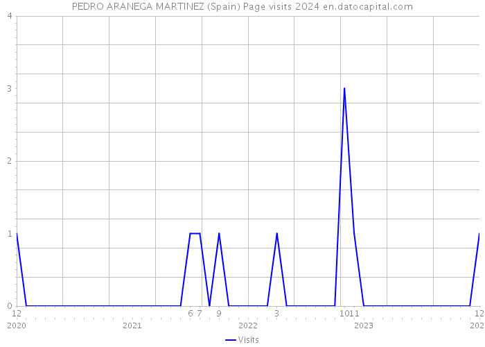 PEDRO ARANEGA MARTINEZ (Spain) Page visits 2024 