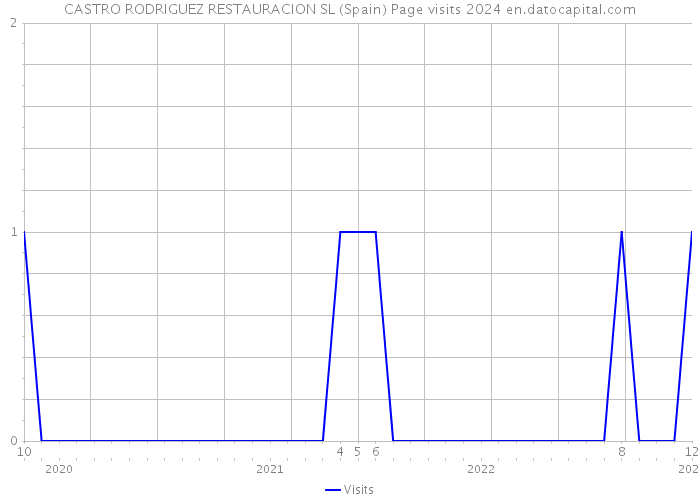 CASTRO RODRIGUEZ RESTAURACION SL (Spain) Page visits 2024 