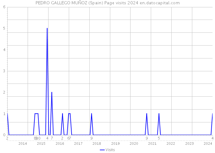 PEDRO GALLEGO MUÑOZ (Spain) Page visits 2024 