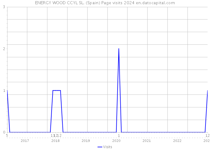 ENERGY WOOD CCYL SL. (Spain) Page visits 2024 