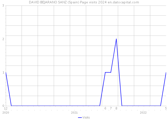 DAVID BEJARANO SANZ (Spain) Page visits 2024 