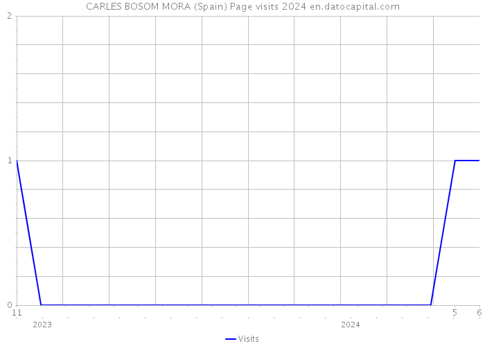 CARLES BOSOM MORA (Spain) Page visits 2024 