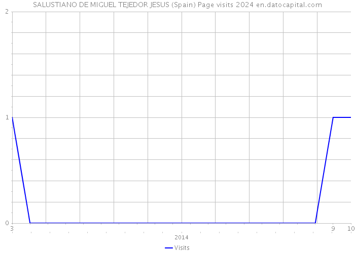 SALUSTIANO DE MIGUEL TEJEDOR JESUS (Spain) Page visits 2024 