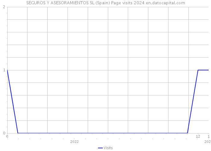 SEGUROS Y ASESORAMIENTOS SL (Spain) Page visits 2024 