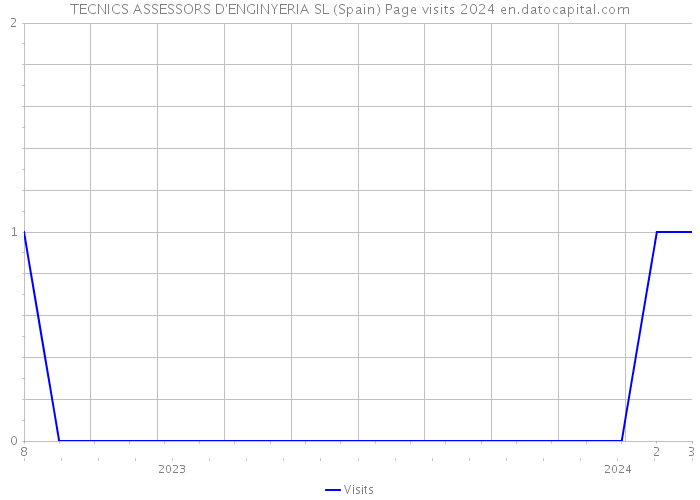 TECNICS ASSESSORS D'ENGINYERIA SL (Spain) Page visits 2024 