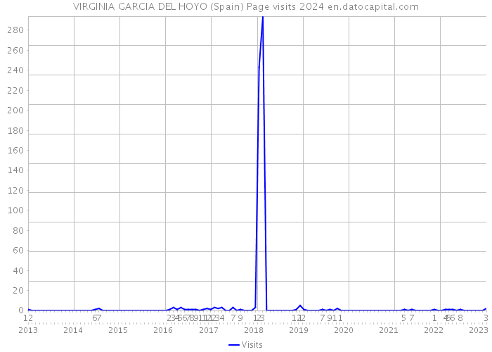 VIRGINIA GARCIA DEL HOYO (Spain) Page visits 2024 
