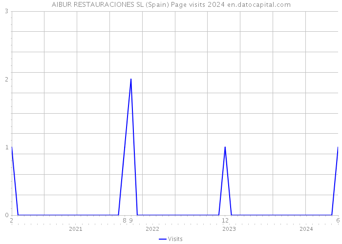 AIBUR RESTAURACIONES SL (Spain) Page visits 2024 