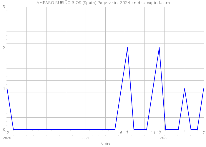 AMPARO RUBIÑO RIOS (Spain) Page visits 2024 