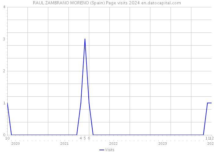RAUL ZAMBRANO MORENO (Spain) Page visits 2024 