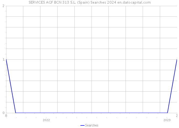 SERVICES AGF BCN 313 S.L. (Spain) Searches 2024 