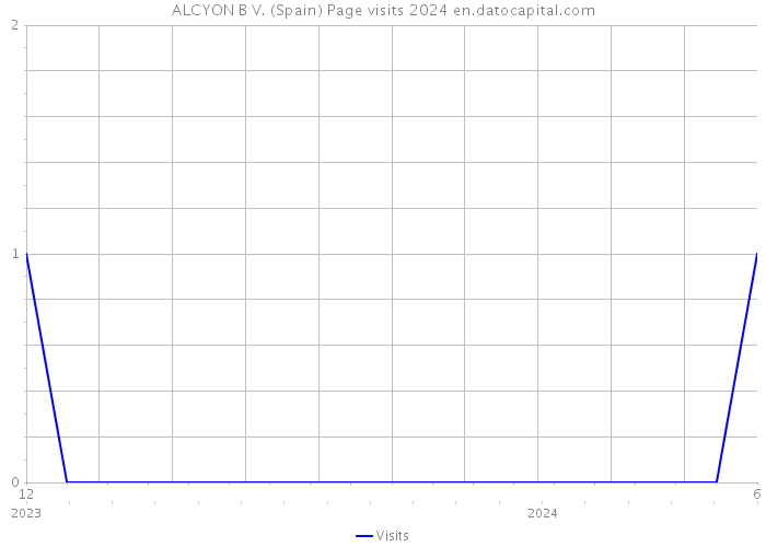 ALCYON B V. (Spain) Page visits 2024 