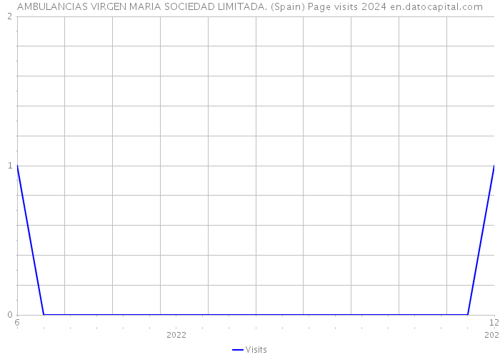 AMBULANCIAS VIRGEN MARIA SOCIEDAD LIMITADA. (Spain) Page visits 2024 