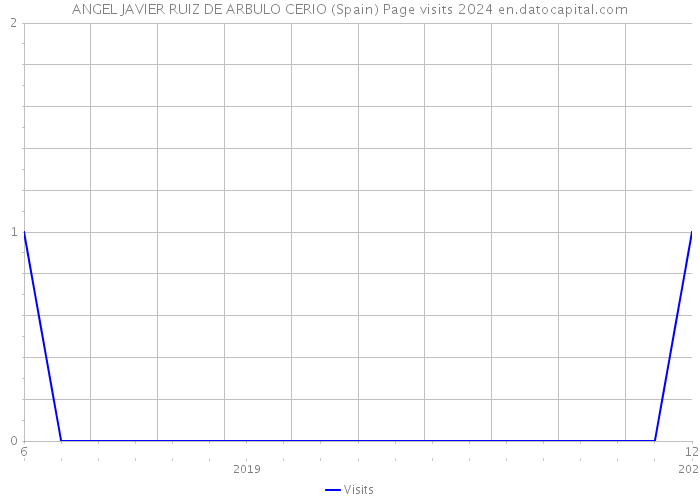 ANGEL JAVIER RUIZ DE ARBULO CERIO (Spain) Page visits 2024 