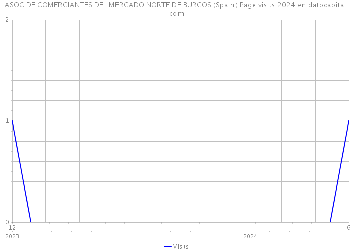 ASOC DE COMERCIANTES DEL MERCADO NORTE DE BURGOS (Spain) Page visits 2024 