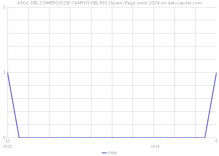 ASOC DEL COMERCIO DE CAMPOS DEL RIO (Spain) Page visits 2024 