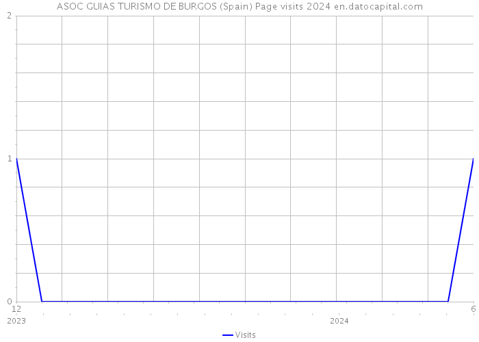 ASOC GUIAS TURISMO DE BURGOS (Spain) Page visits 2024 