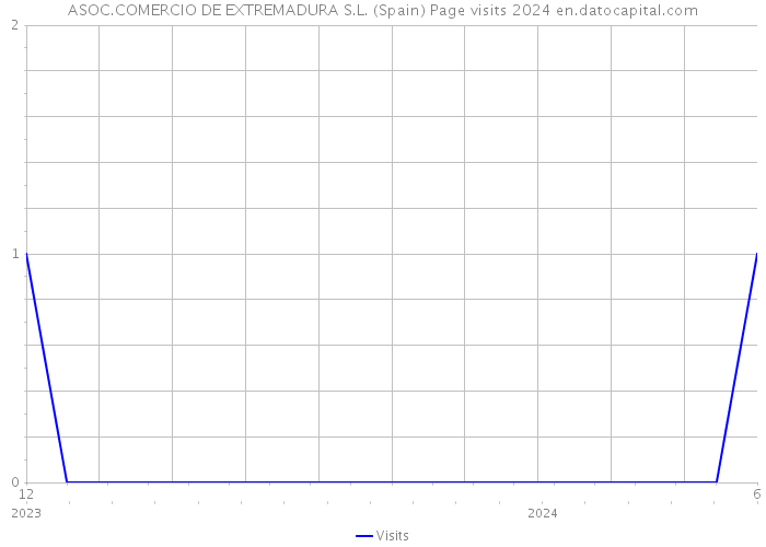 ASOC.COMERCIO DE EXTREMADURA S.L. (Spain) Page visits 2024 