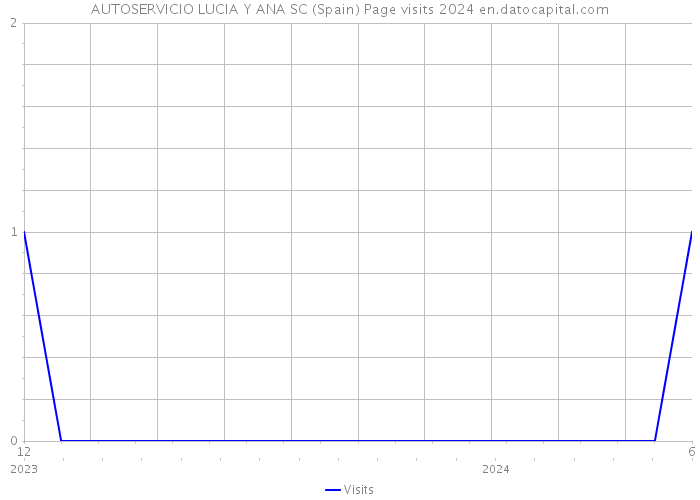 AUTOSERVICIO LUCIA Y ANA SC (Spain) Page visits 2024 