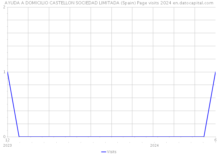 AYUDA A DOMICILIO CASTELLON SOCIEDAD LIMITADA (Spain) Page visits 2024 