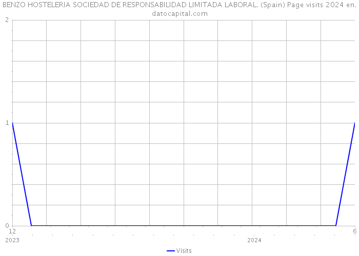 BENZO HOSTELERIA SOCIEDAD DE RESPONSABILIDAD LIMITADA LABORAL. (Spain) Page visits 2024 