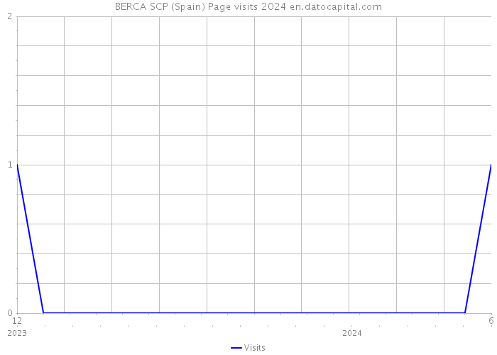 BERCA SCP (Spain) Page visits 2024 