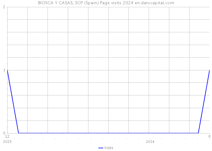 BIOSCA Y CASAS, SCP (Spain) Page visits 2024 