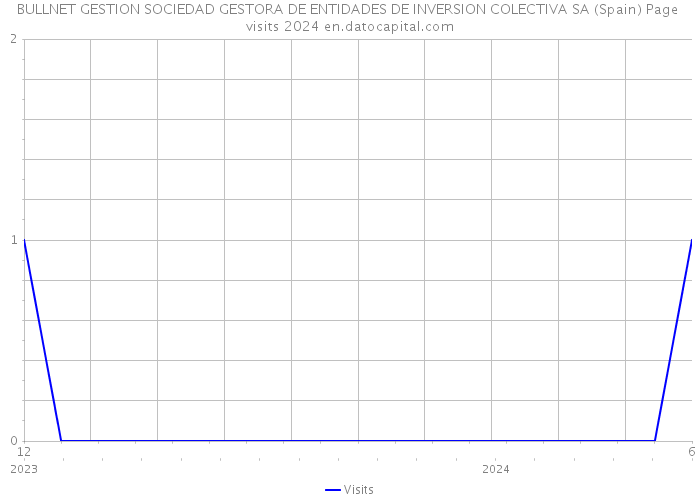 BULLNET GESTION SOCIEDAD GESTORA DE ENTIDADES DE INVERSION COLECTIVA SA (Spain) Page visits 2024 