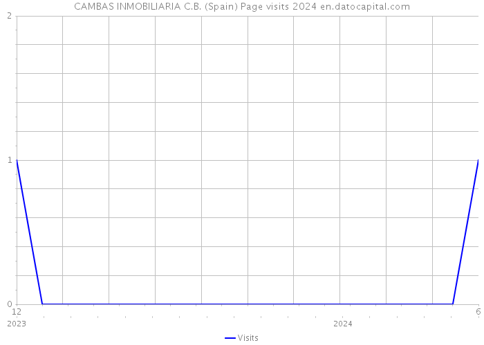 CAMBAS INMOBILIARIA C.B. (Spain) Page visits 2024 