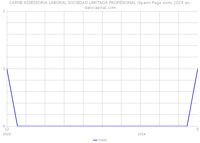 CARNE ASSESSORIA LABORAL SOCIEDAD LIMITADA PROFESIONAL (Spain) Page visits 2024 