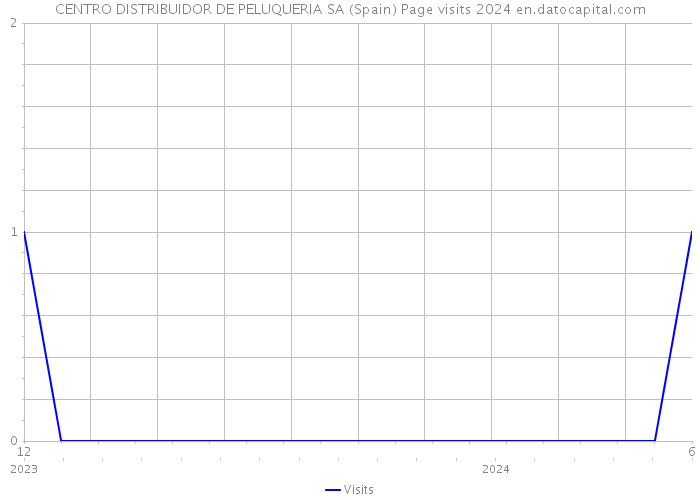 CENTRO DISTRIBUIDOR DE PELUQUERIA SA (Spain) Page visits 2024 