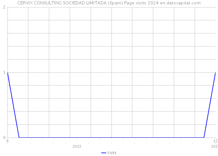 CERVIX CONSULTING SOCIEDAD LIMITADA (Spain) Page visits 2024 