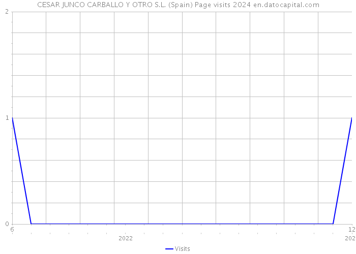 CESAR JUNCO CARBALLO Y OTRO S.L. (Spain) Page visits 2024 