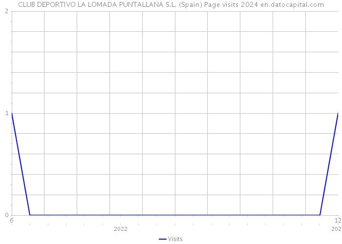 CLUB DEPORTIVO LA LOMADA PUNTALLANA S.L. (Spain) Page visits 2024 