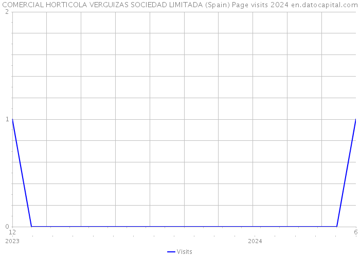 COMERCIAL HORTICOLA VERGUIZAS SOCIEDAD LIMITADA (Spain) Page visits 2024 