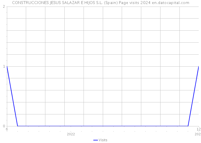 CONSTRUCCIONES JESUS SALAZAR E HIJOS S.L. (Spain) Page visits 2024 